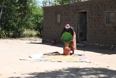 DSC_2772 (Large).JPG